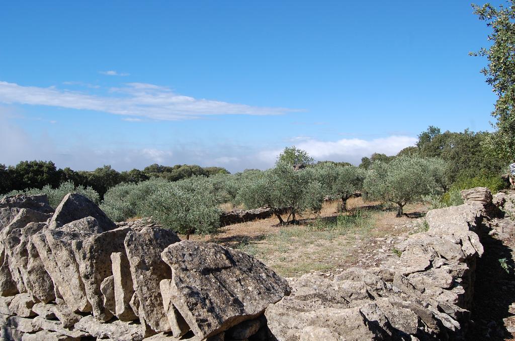 Cypres Du Paradis A Gordes Buitenkant foto